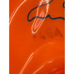 Outlet Pro Swim Flipper Swimsafe 1010 Skrzydła wodne max obciążenie 30 kg
