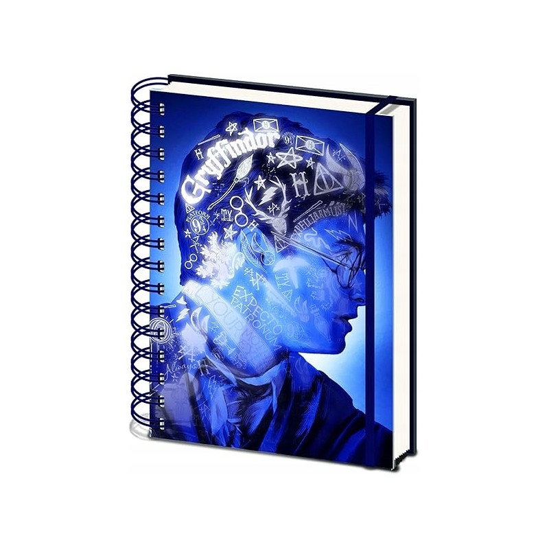 Harry Potter Notatnik A5 w linie 3D Magiczny Portret Premium niebieski