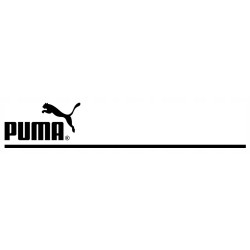 GETRY piłkarskie męskie PUMA Team Liga Core Socks 703441-47 zielone 1 31-34