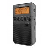 Radio baterie AM, FM Sangean DT-800