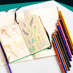 BIC Kredki bezdrzewne trójkątne Coloured Color Up Intensity 24 kolory CE