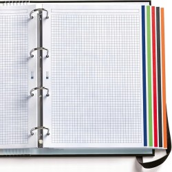 Outlet Segregator A4 Miquelrius teczka na dokumenty 4 pierścienie trwały