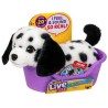 Interaktywny Piesek Dalmatyńczyk Little Live Pets 20 dźwięków i reakcji CE