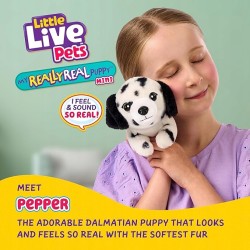 Interaktywny Piesek Dalmatyńczyk Little Live Pets 20 dźwięków i reakcji CE