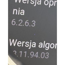 Outlet Smartwatch Amazfit Active 2 Round Premium Bluetooth 270 mAh OPIS