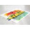 Outlet Pastele suche Creative Studio mini 72 sztuki w kartoniku