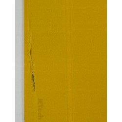 Outlet Etui JETech do iPada A16 10.9" 11. gen 2022/2025 żółte smart sleep