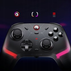 Outlet Kontroler do gier GameSir Cyclone 2 bezprzewodowy/przewodowy