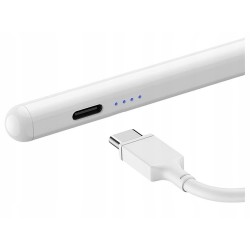 Outlet AKTYWNY RYSIK DO APPLE PENCIL 6-11 GENERACJI SZYBKIE ŁADOWANIE PALM