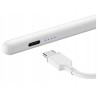 Outlet AKTYWNY RYSIK DO APPLE PENCIL 6-11 GENERACJI SZYBKIE ŁADOWANIE PALM
