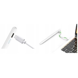 Outlet AKTYWNY RYSIK DO APPLE PENCIL 6-11 GENERACJI SZYBKIE ŁADOWANIE PALM