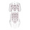 Outlet Robot do programowania Lexibook Power Kitty plastikowy wielokolorowy