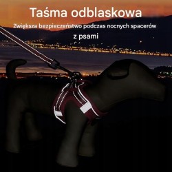 SZELKI DLA PSA + SMYCZ Rozmiar XS MAŁE MOCNE ODDUCHAJĄCE WYGODNE ROZM XS