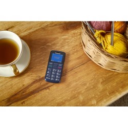 Outlet Telefon komórkowy Panasonic KX-TU110 512 MB / 32 MB niebieski