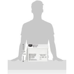Outlet Papier biurowy Amazon format A4 80g 2500 arkuszy