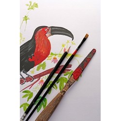 Outlet Szkicownik Paint On A3 Clairefontaine 40szt