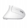 Outlet Myszka bezprzewodowa Trust 25132 1600 DPI sensor optyczny biała