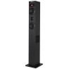 Outlet NGS SKYCHARM ELEC-SPK-0714 głośnik Bluetooth 80W subwoofer radio FM