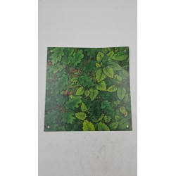 Outlet gra planszowa Spinderella Zocha