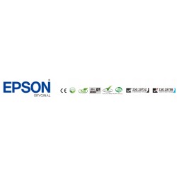 Outlet Orginalny Tusz Epson T850700 C13T850700 SureColor jasny czarny