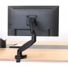 Outlet Amazon Basics Uchwyt na biurko do monitora komputerowego 15-27"