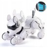 Outlet Interaktywny zdalnie sterowany programowalny robot pies z