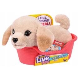USZKODZONY Little Live Pets My Really Real Puppy Mini Buddy Piesek labrador