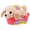 USZKODZONY Little Live Pets My Really Real Puppy Mini Buddy Piesek labrador