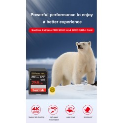 Outlet Karta pamięci Sandisk Extreme Pro SDXC 128GB 200/90 MB/s V30 UHS-I