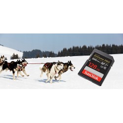 Outlet Karta pamięci Sandisk Extreme Pro SDXC 128GB 200/90 MB/s V30 UHS-I