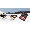 Outlet Karta pamięci Sandisk Extreme Pro SDXC 128GB 200/90 MB/s V30 UHS-I