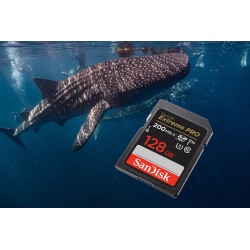 Outlet Karta pamięci Sandisk Extreme Pro SDXC 128GB 200/90 MB/s V30 UHS-I