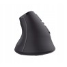 Outlet Mysz bezprzewodowa Trust Voxx 23731 pionowa ergonomiczna USB 2.4 GHz