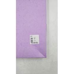 Outlet Exacompta 59550E Pudełko na dokumenty EXABOX z gumkami grzbiet 25 mm