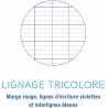 Outlet Clairefontaine Arkusze do Segregatora 200 Kartek 100 Arkuszy Format