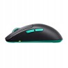 Outlet CHERRY XTRFY CX-M68W-BLACK myszka Gaming RF Bezprzewodowa 26000 DPI