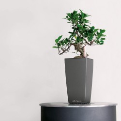 Outlet LECHUZA 18050 MAXI CUBI DONICZKA Z SYSTEMEM NAWADNIANIA BIAŁA 26 CM