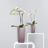 Outlet LECHUZA 18050 MAXI CUBI DONICZKA Z SYSTEMEM NAWADNIANIA BIAŁA 26 CM