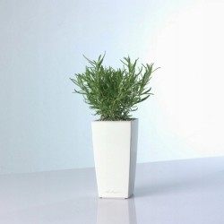 Outlet LECHUZA 18050 MAXI CUBI DONICZKA Z SYSTEMEM NAWADNIANIA BIAŁA 26 CM