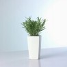 Outlet LECHUZA 18050 MAXI CUBI DONICZKA Z SYSTEMEM NAWADNIANIA BIAŁA 26 CM