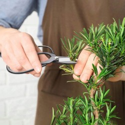Outlet MOSFiATA Zestaw narzędzi bonsai 13 szt. ze stali wysokowęglowej z