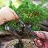Outlet MOSFiATA Zestaw narzędzi bonsai 13 szt. ze stali wysokowęglowej z