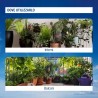 Outlet Protect Garden Sanium SL25 Środek Owadobójczy Koncentrat 5ml